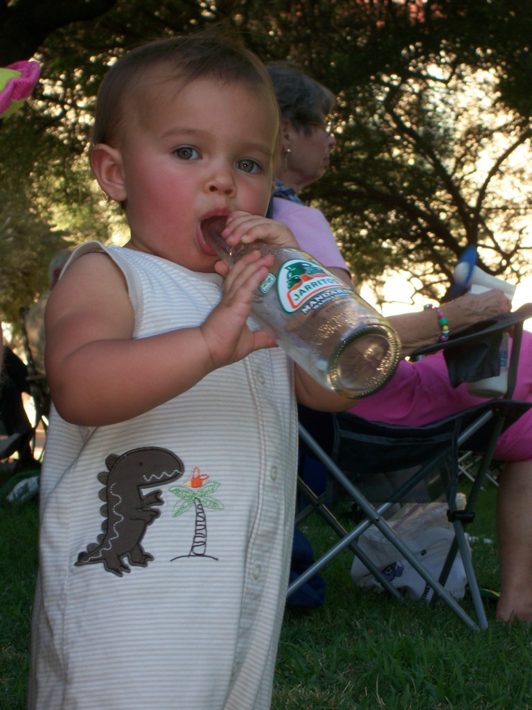 Bluegrass in the Park